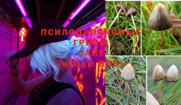 герыч Корсаков
