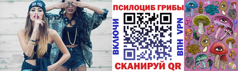 Купить  Покров  Галлюциногенные грибы Psilocybe 
